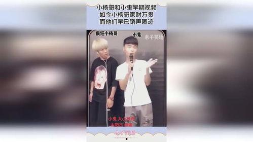 小杨哥爆料哥哥视频大全,哥哥视频大全背后的精彩故事  第3张