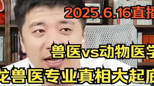 韩国兽医爆料视频,揭露宠物食品行业惊人内幕  第1张